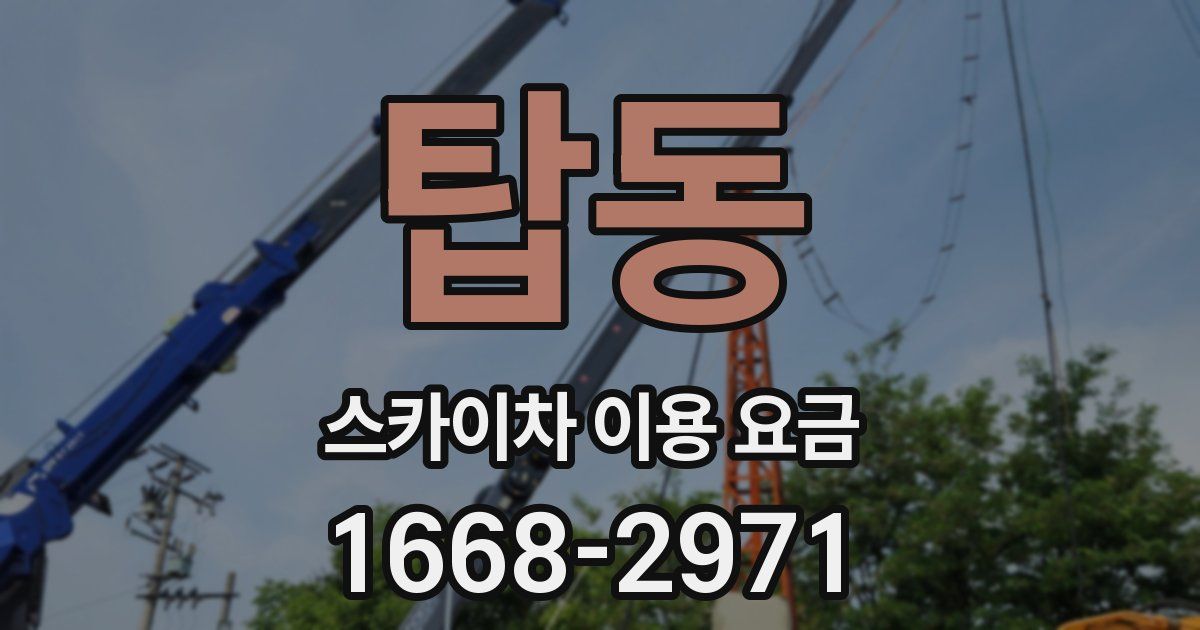 탑동 스카이차 이용 요금