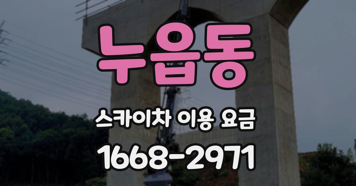 누읍동 스카이차 이용 요금