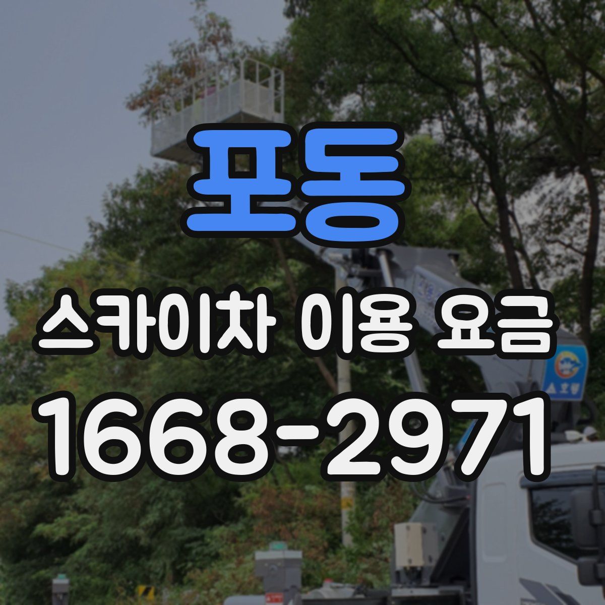 포동 스카이차 이용 요금