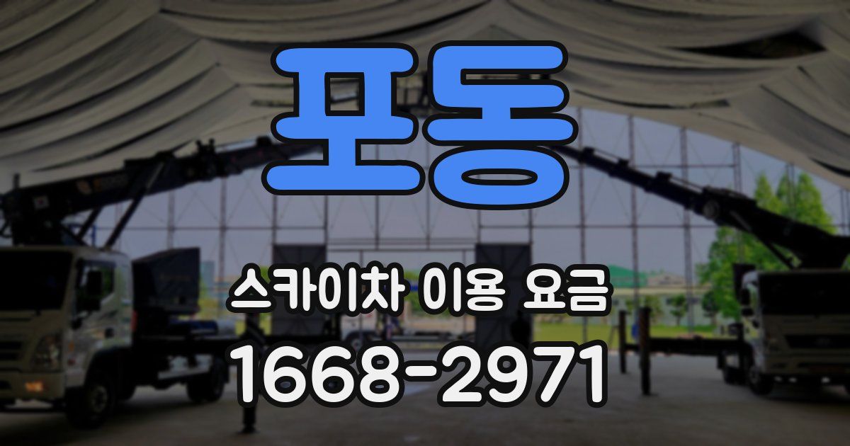 포동 스카이차 이용 요금