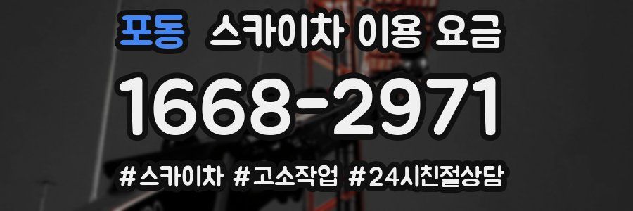 포동 스카이차 이용 요금