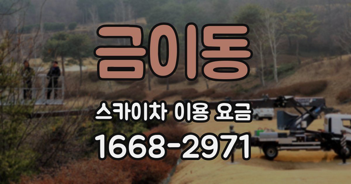 금이동 스카이차 이용 요금