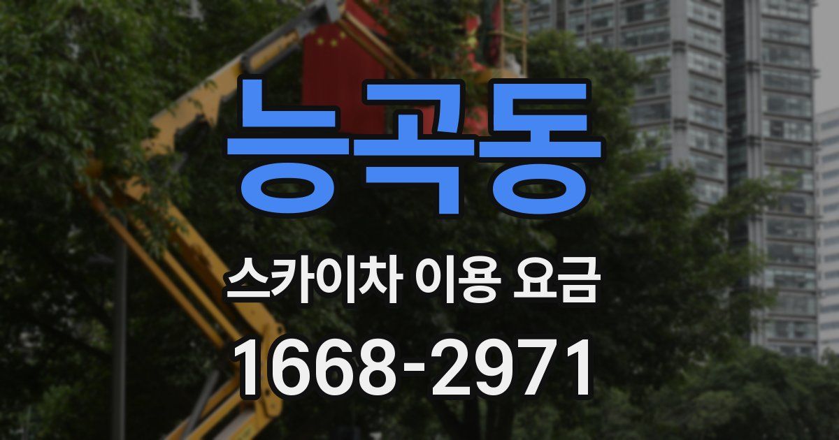 능곡동 스카이차 이용 요금