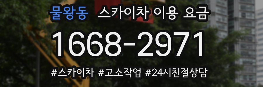 물왕동 스카이차 이용 요금