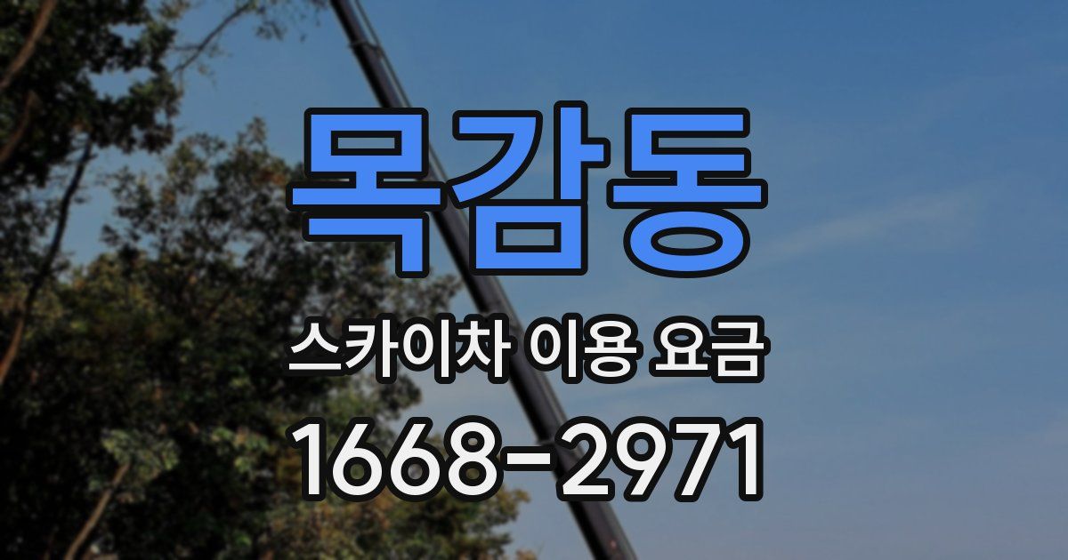 목감동 스카이차 이용 요금