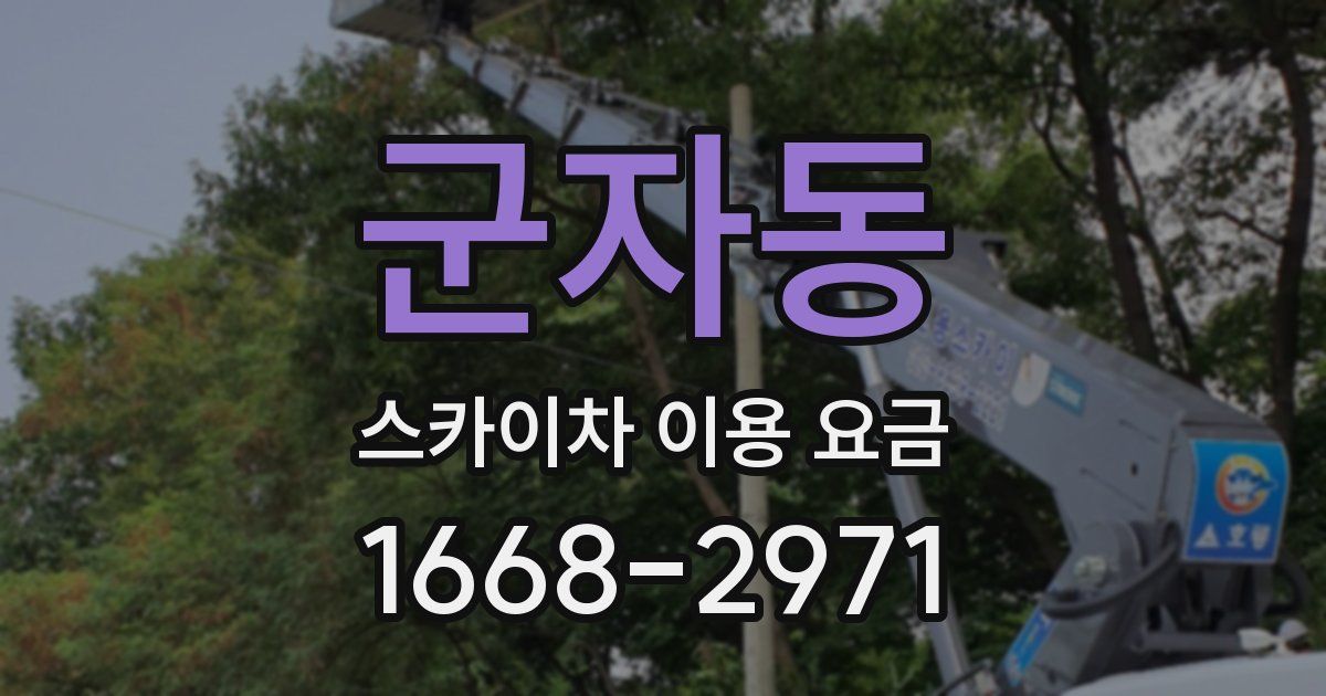 군자동 스카이차 이용 요금