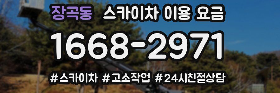 장곡동 스카이차 이용 요금