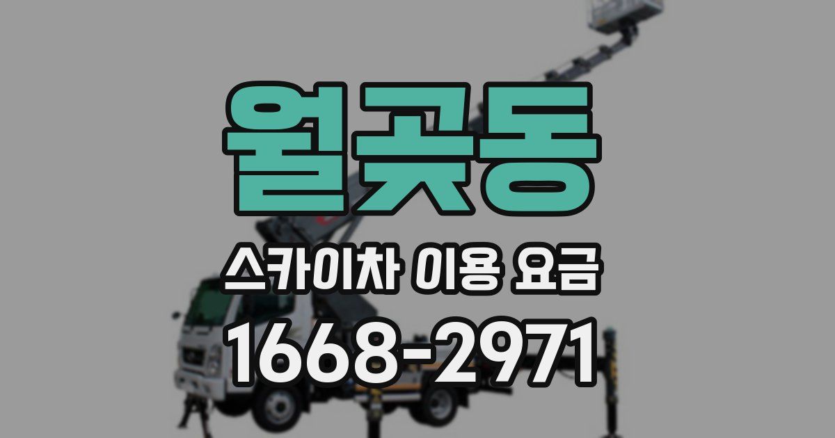 월곶동 스카이차 이용 요금