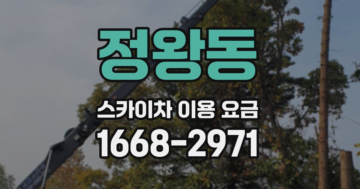 정왕동 스카이차 이용 요금