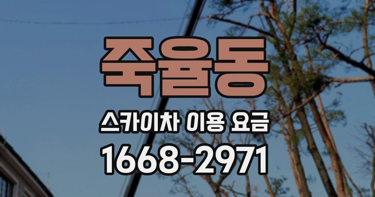 죽율동 스카이차 이용 요금