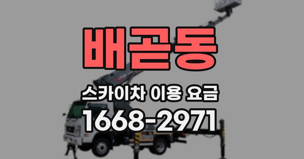 배곧동 스카이차 이용 요금
