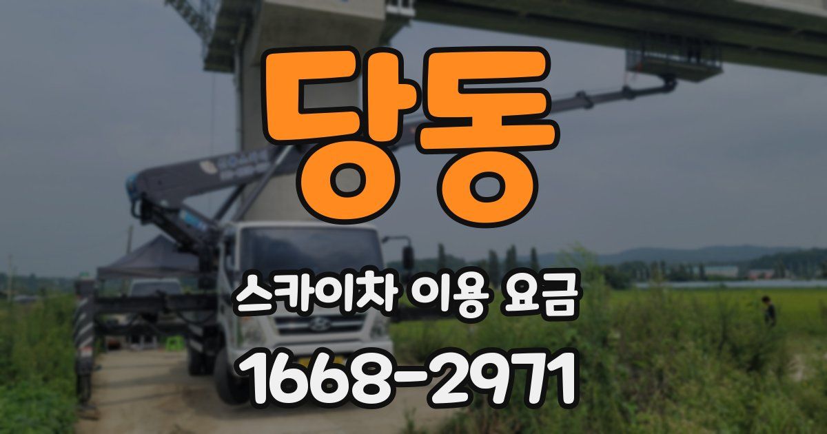 당동 스카이차 이용 요금