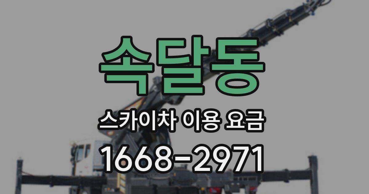 속달동 스카이차 이용 요금