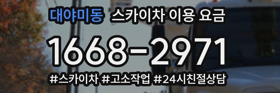 대야미동 스카이차 이용 요금