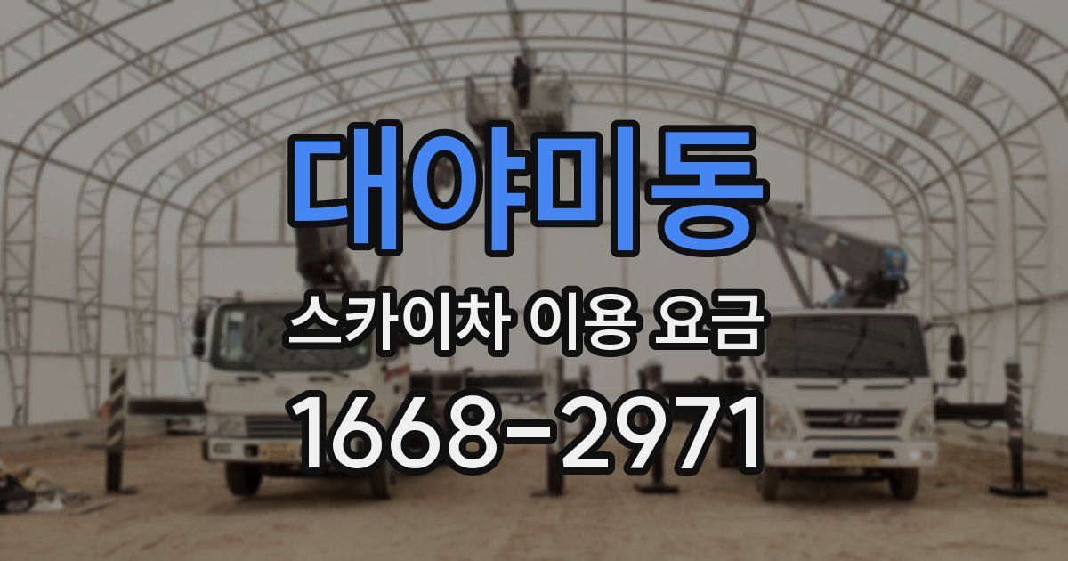 대야미동 스카이차 이용 요금