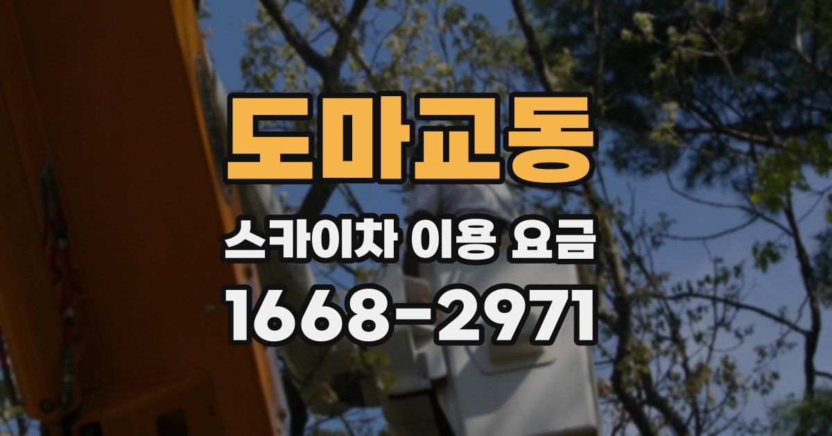 도마교동 스카이차 이용 요금