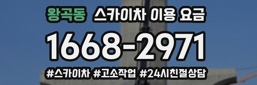 왕곡동 스카이차 이용 요금