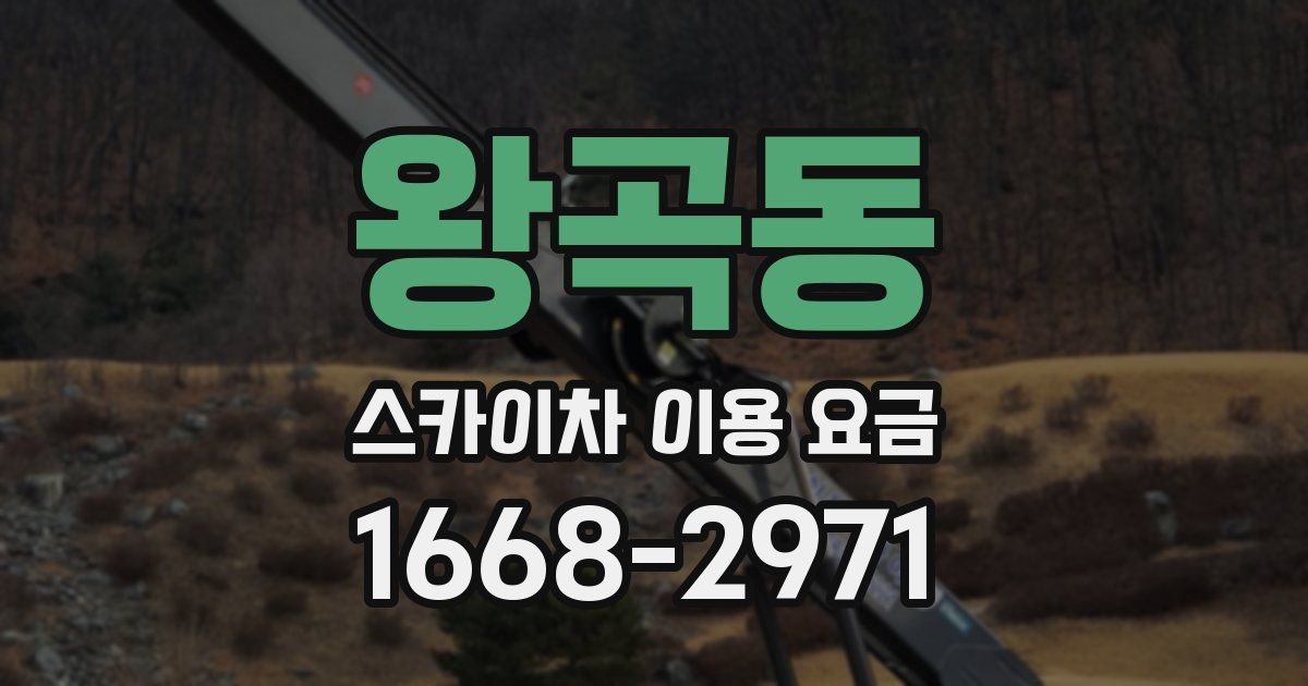 왕곡동 스카이차 이용 요금