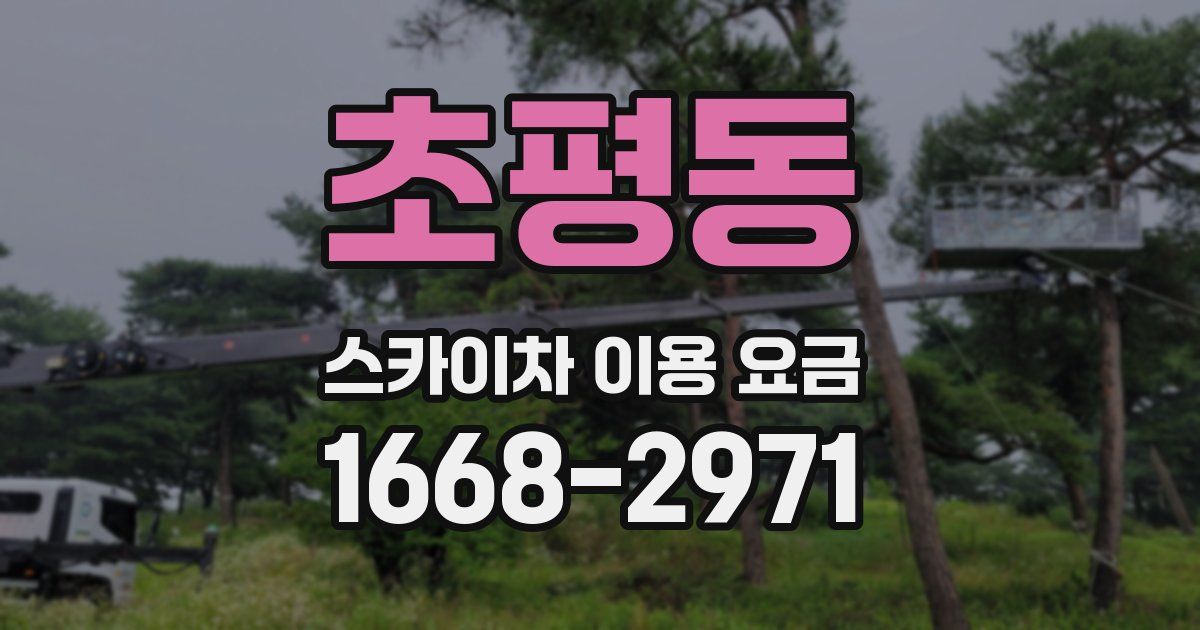 초평동 스카이차 이용 요금