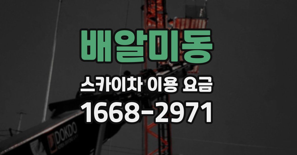 배알미동 스카이차 이용 요금