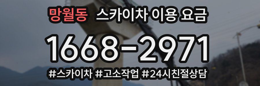 망월동 스카이차 이용 요금