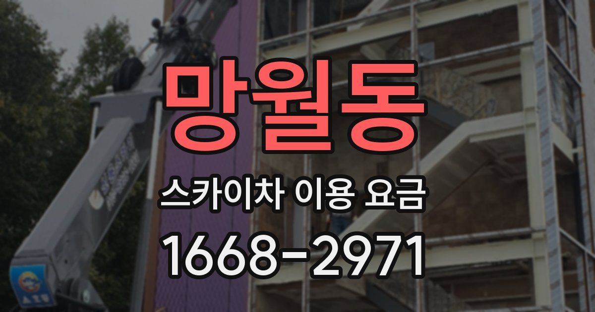 망월동 스카이차 이용 요금