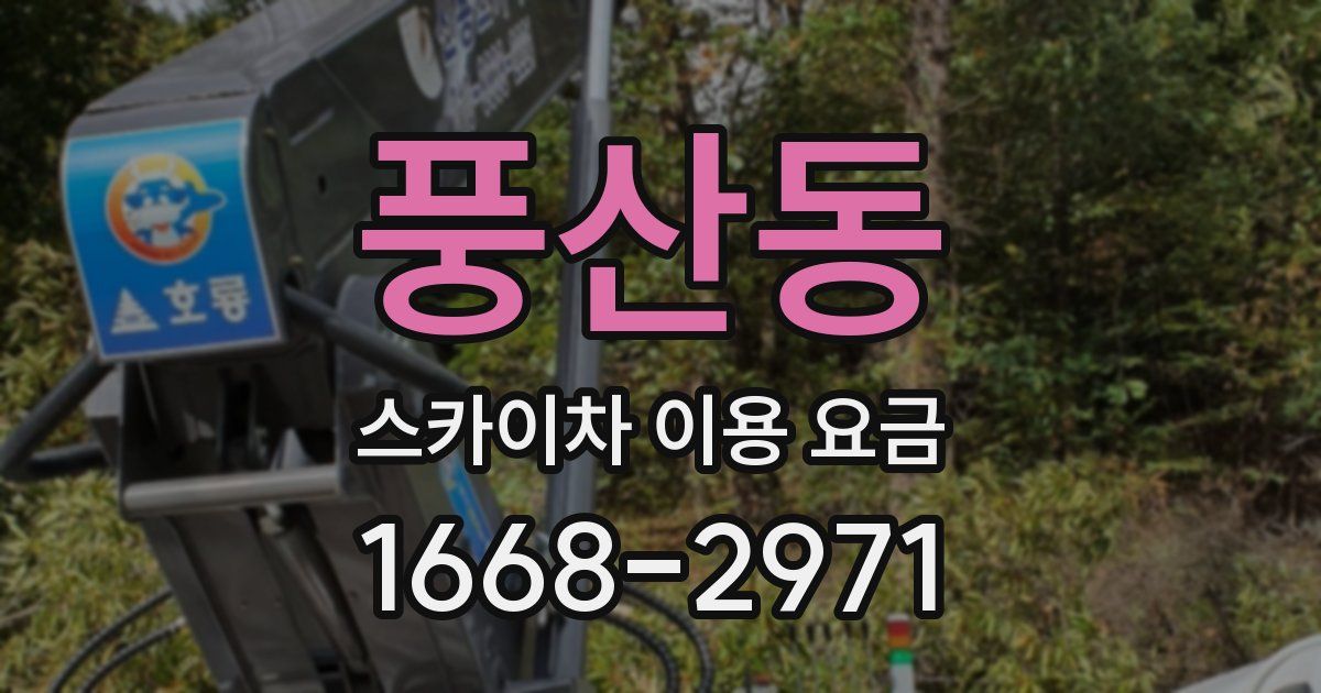 풍산동 스카이차 이용 요금