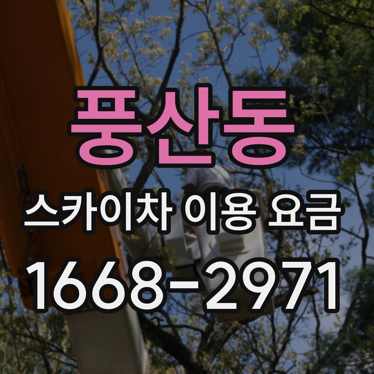풍산동 스카이차 이용 요금