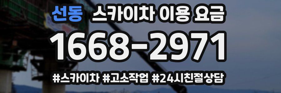 선동 스카이차 이용 요금