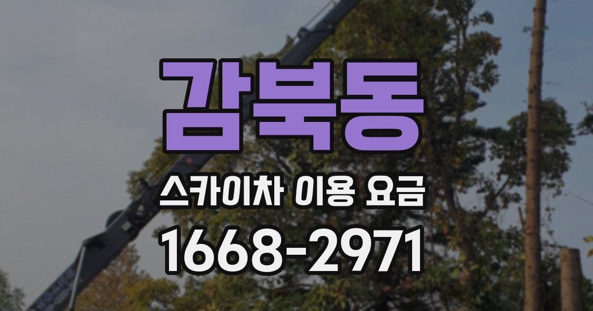 감북동 스카이차 이용 요금