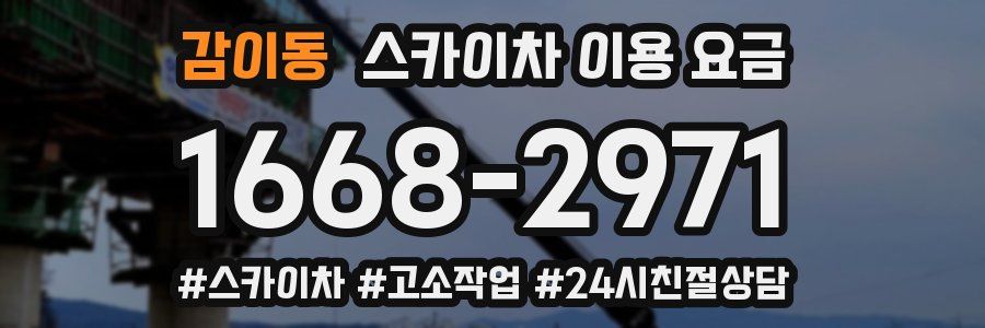 감이동 스카이차 이용 요금