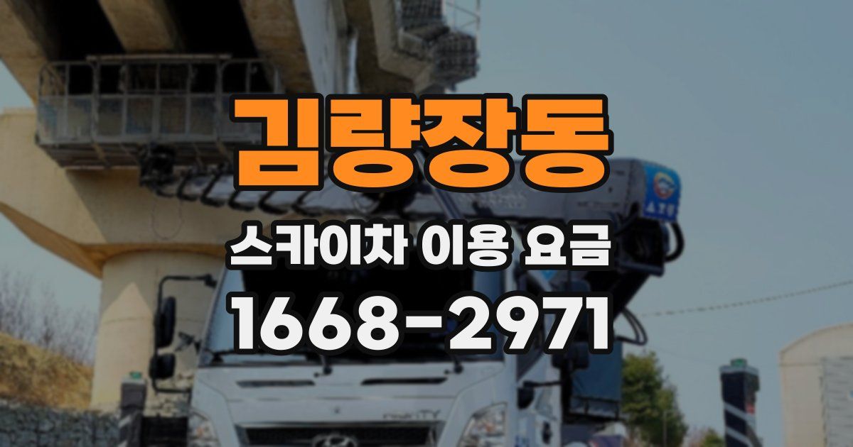 김량장동 스카이차 이용 요금