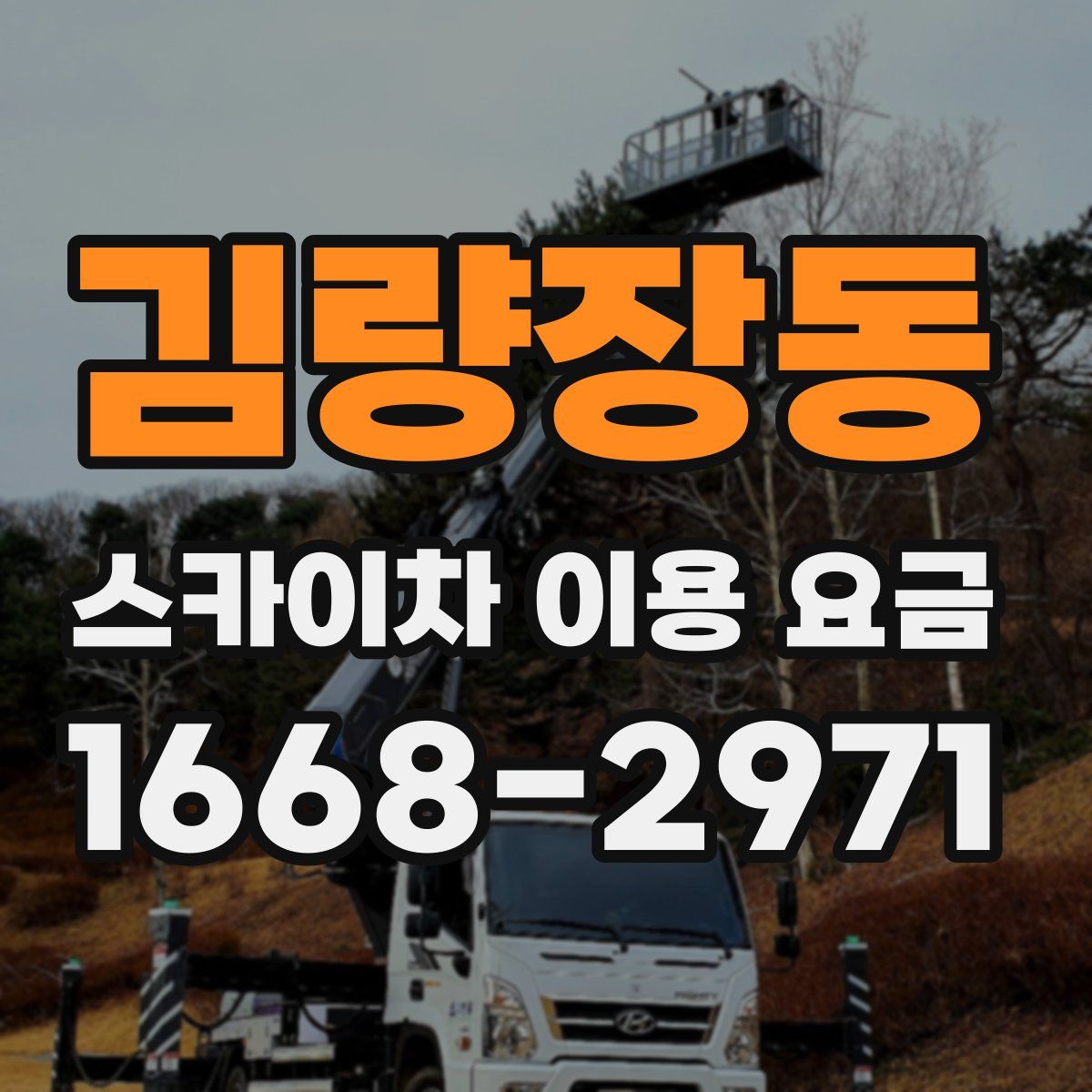 김량장동 스카이차 이용 요금