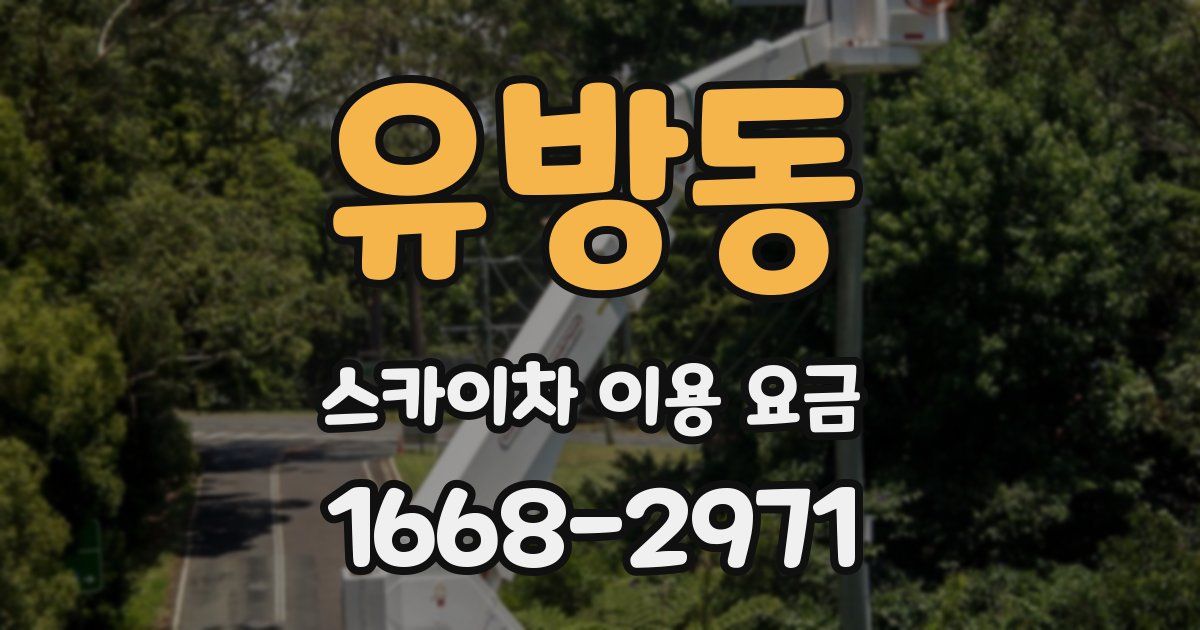 유방동 스카이차 이용 요금