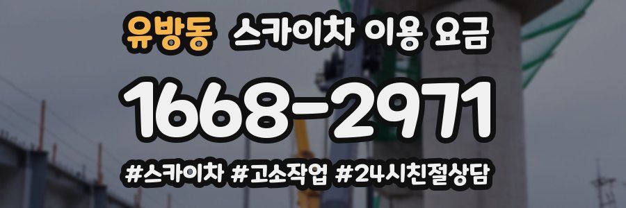 유방동 스카이차 이용 요금