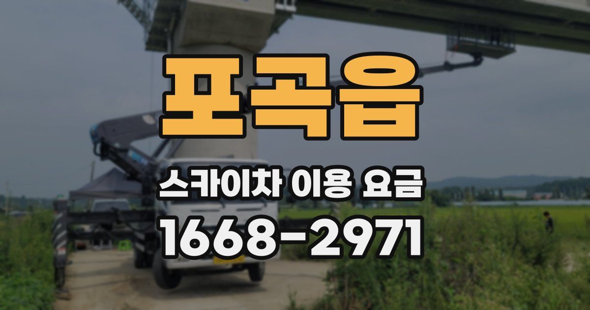 포곡읍 스카이차 이용 요금
