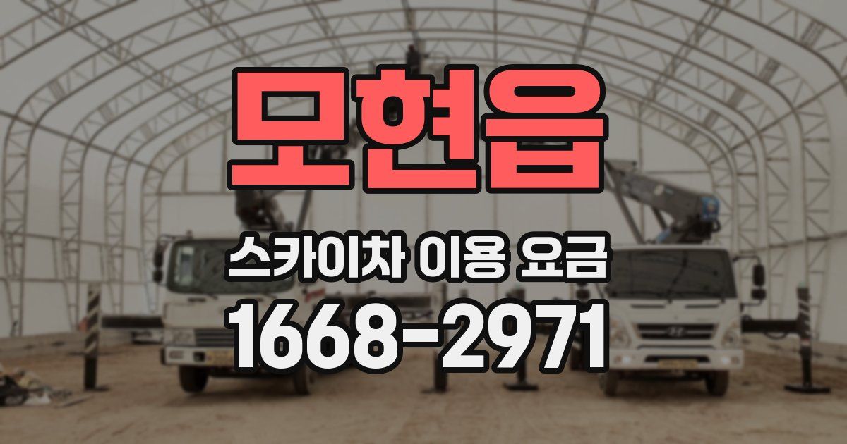 모현읍 스카이차 이용 요금