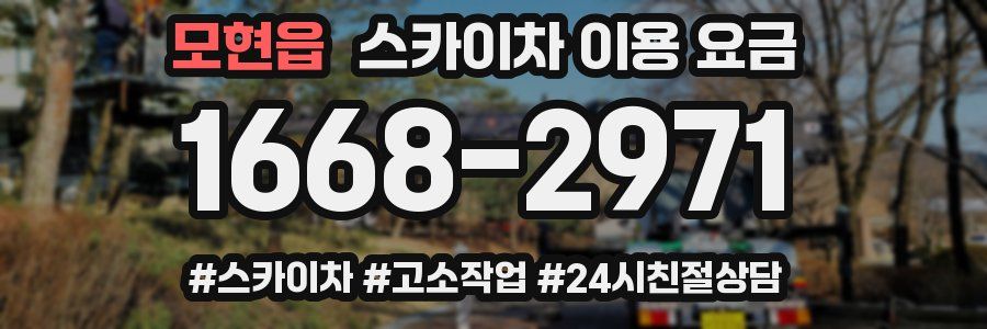 모현읍 스카이차 이용 요금