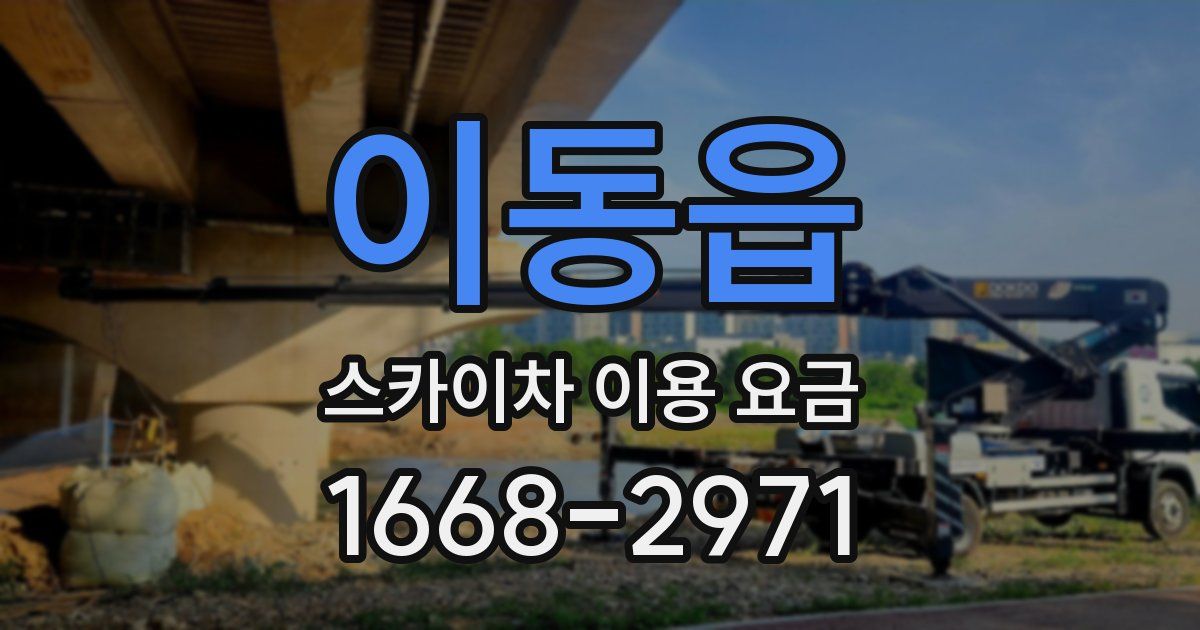이동읍 스카이차 이용 요금