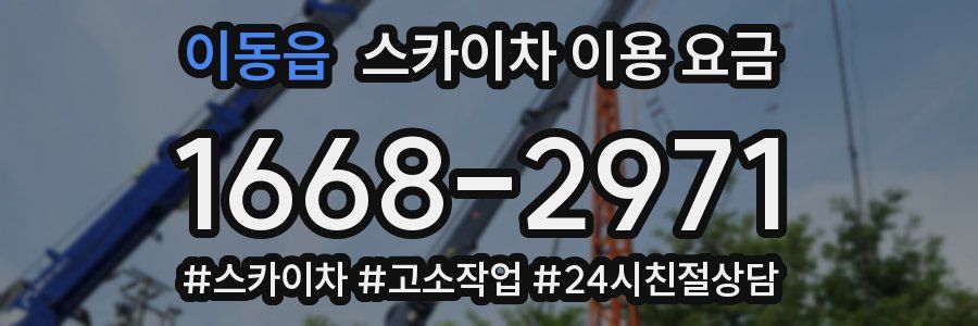 이동읍 스카이차 이용 요금