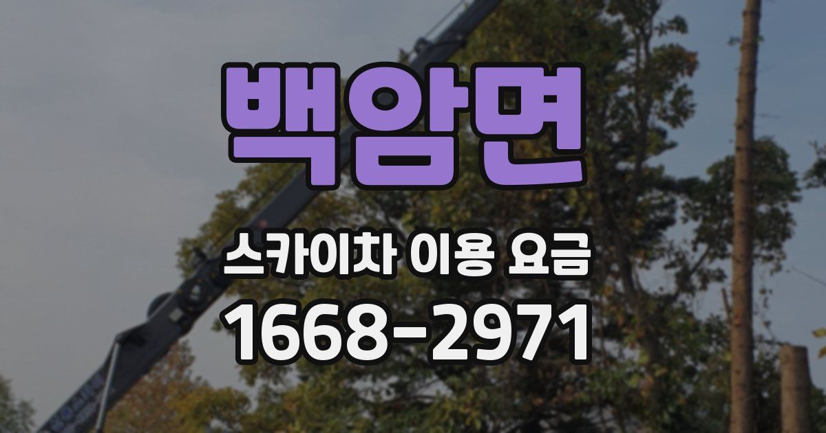 백암면 스카이차 이용 요금