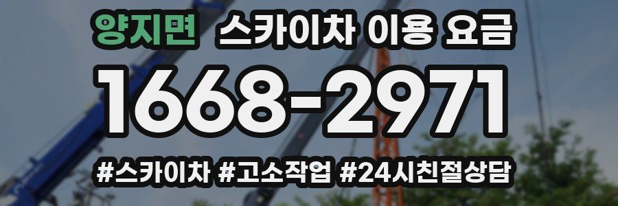 양지면 스카이차 이용 요금