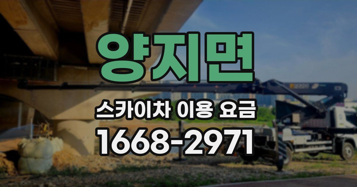 양지면 스카이차 이용 요금