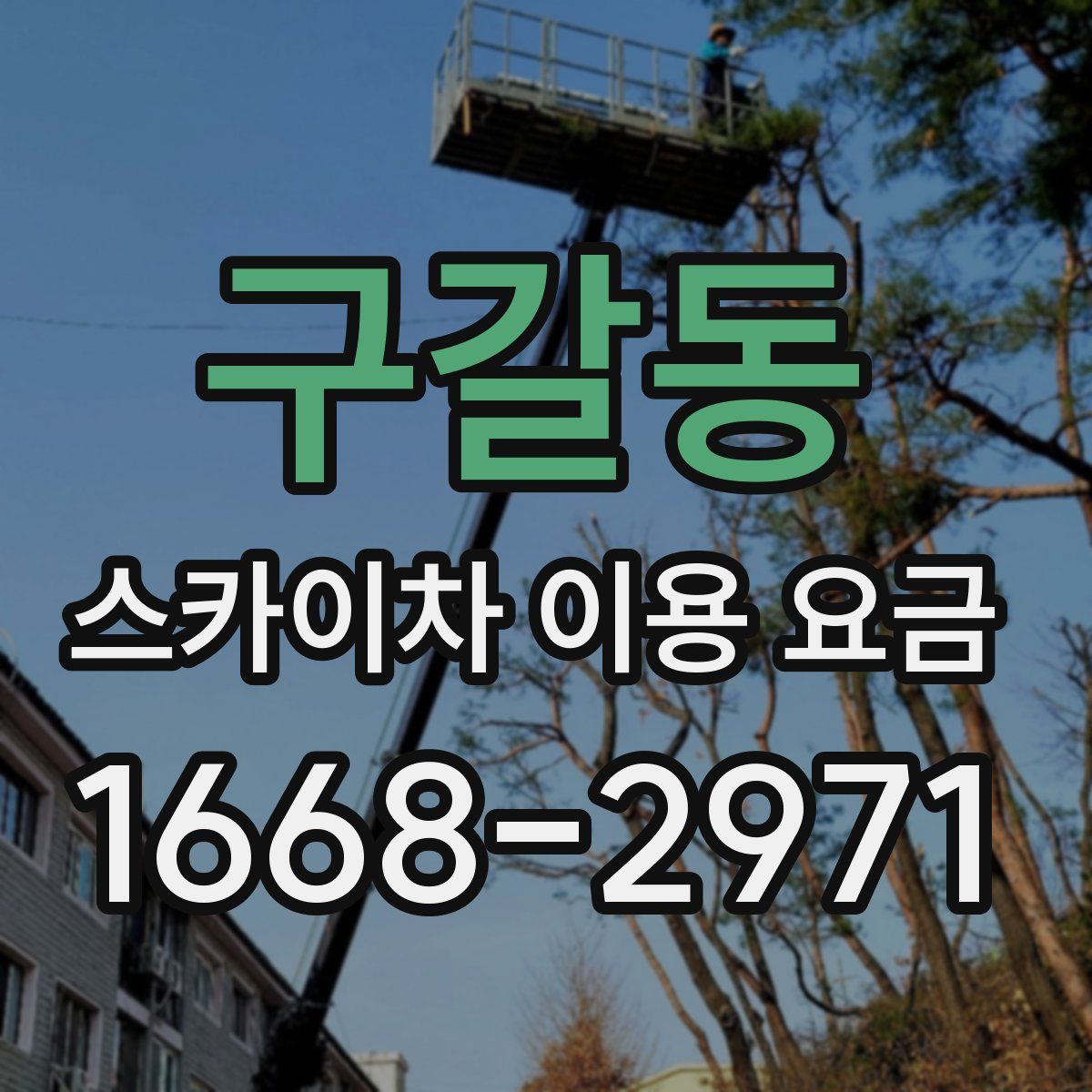구갈동 스카이차 이용 요금