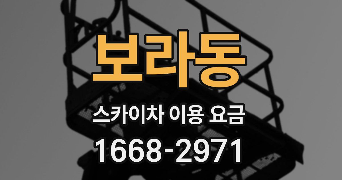 보라동 스카이차 이용 요금