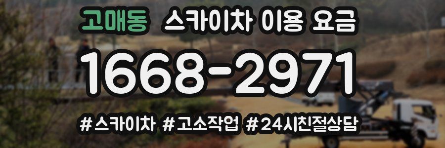 고매동 스카이차 이용 요금