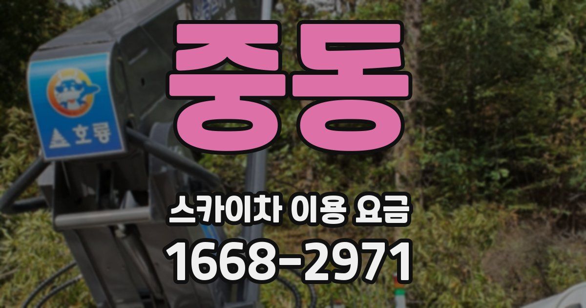 중동 스카이차 이용 요금