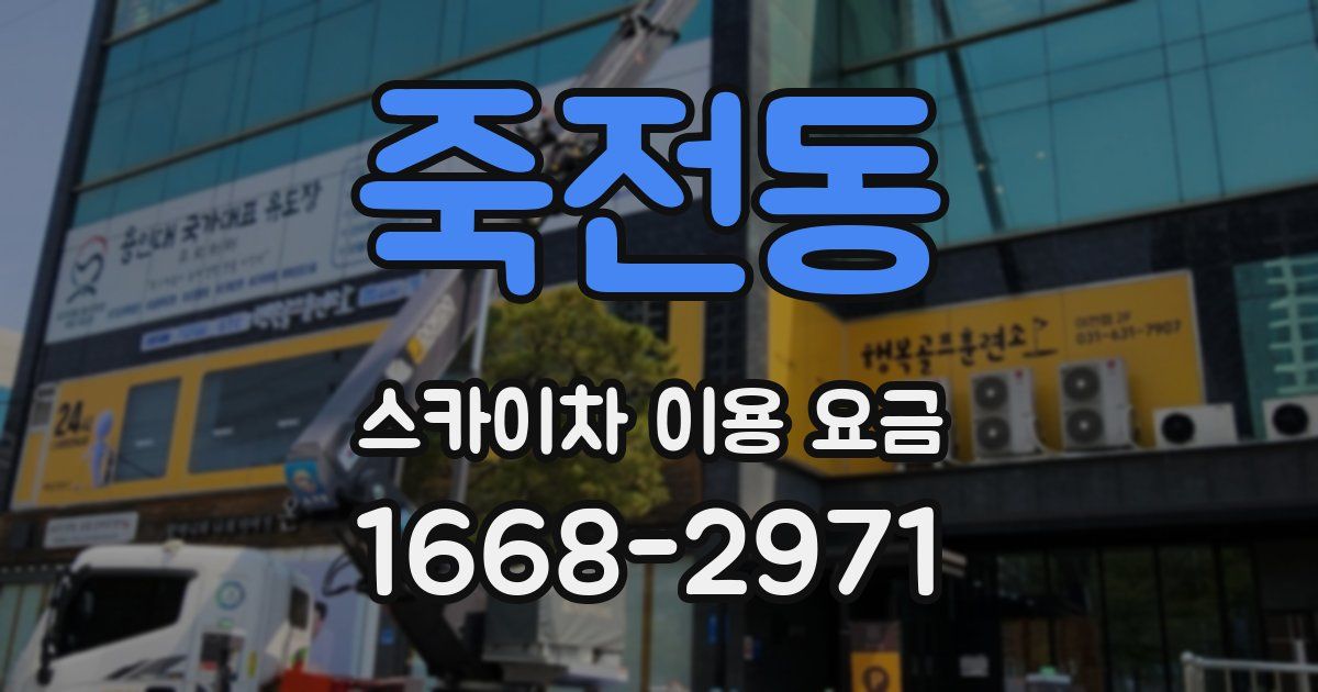 죽전동 스카이차 이용 요금