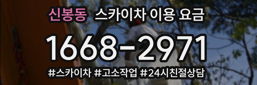 신봉동 스카이차 이용 요금