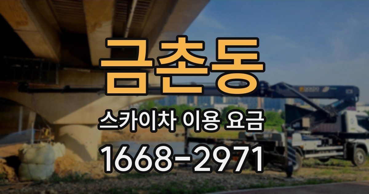 금촌동 스카이차 이용 요금